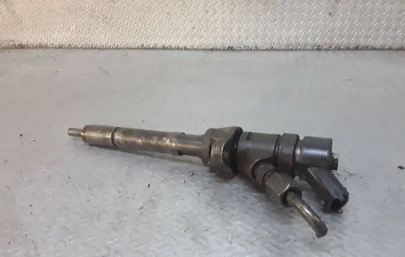 Citroen C5 Fuel injector 0445110259