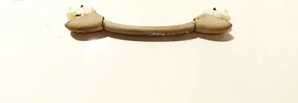 Peugeot 206 Front interior roof grab handle