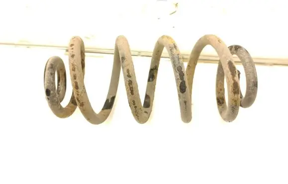 Rear coil spring