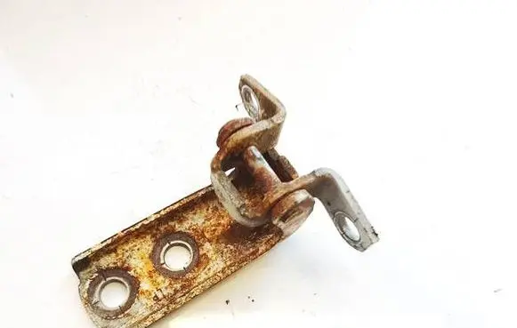 Rear door lower hinge