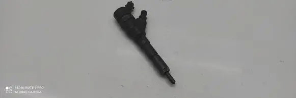 Peugeot 406 Fuel injector 9640088780
