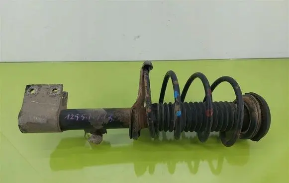 Peugeot 307 Front shock absorber with coil spring