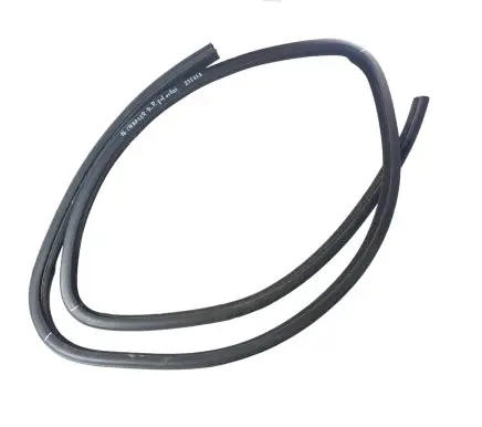 Dodge Charger Rear door rubber seal (on body) 