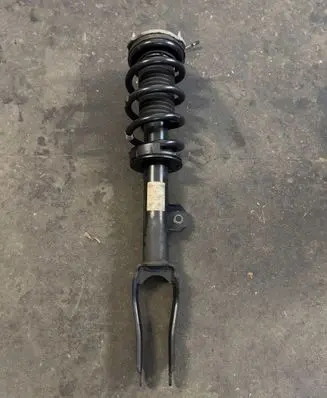 Alfa Romeo Stelvio Front shock absorber with coil spring 50562155