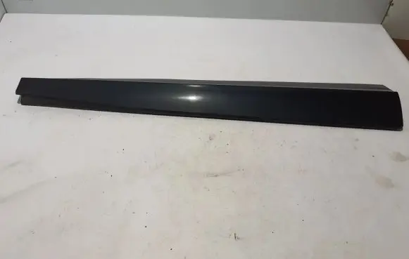 Ford Mach-E I Front door trim (molding) LJ8BR20849BCW