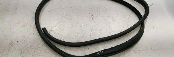 Subaru Outback (BT) Front door rubber seal 