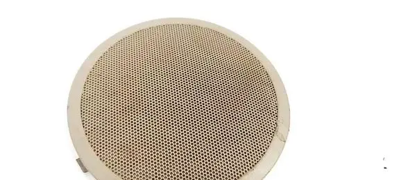 Renault Scenic II - Grand scenic II Side speaker trim/cover 219860