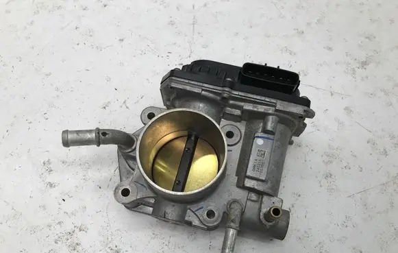 Throttle body valve