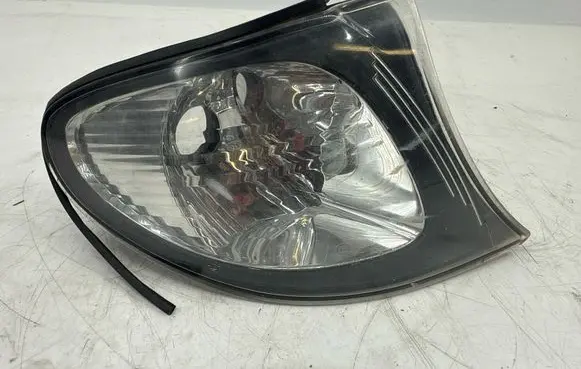 BMW 3 E46 Front indicator light 7165850