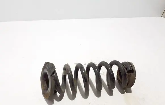 Ford Mach-E I Rear coil spring LJ9C5560ANE