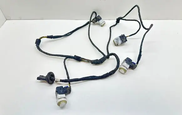 Mercedes-Benz CLS C219 Parking sensor (PDC) wiring loom A2195404605