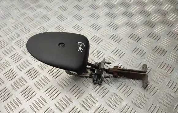 Renault Trafic III (X82) Loading door check strap stopper 824302173RA