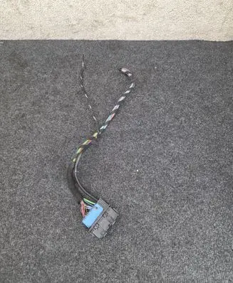 BMW X5 F15 Front door wiring loom 9224370