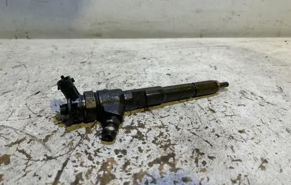 Renault Megane III Fuel injector 0445110485
