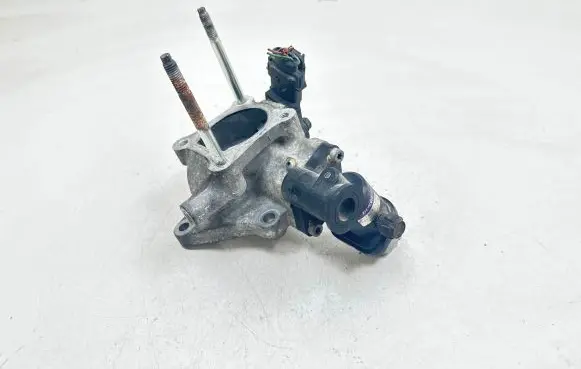 EGR valve