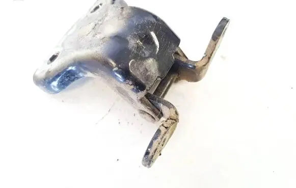 Chevrolet Captiva Rear door lower hinge