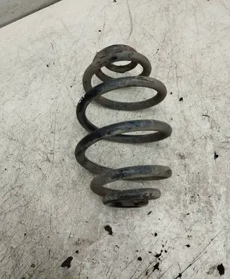 Rear coil spring
