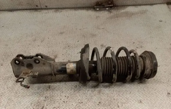 Opel Insignia A Front shock absorber with coil spring 13319742