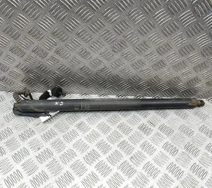 BMW X1 F48 F49 Tailgate/trunk strut/damper 7350837