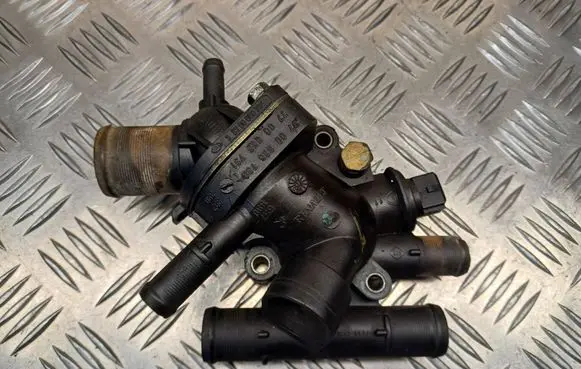 Thermostat/thermostat housing