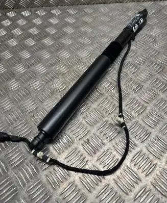 Tailgate/trunk strut/damper