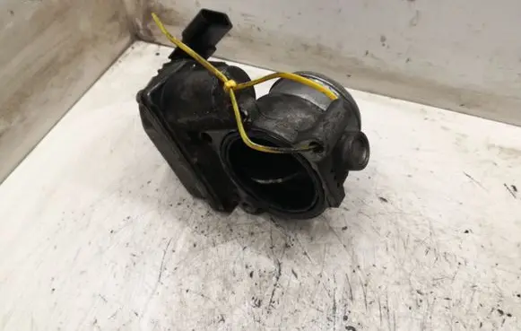 Hyundai Santa Fe Throttle valve