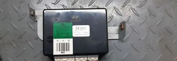 Hyundai Tucson JM Other control units/modules 3911427285