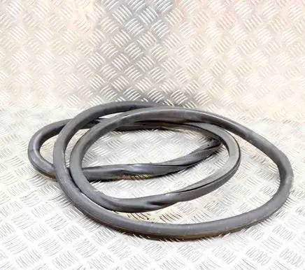 Volkswagen Tiguan Rubber seal front coupe door 5N0867911