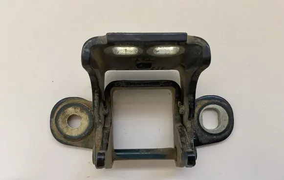 Rear door lower hinge