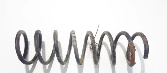 Ford Focus Rear coil spring