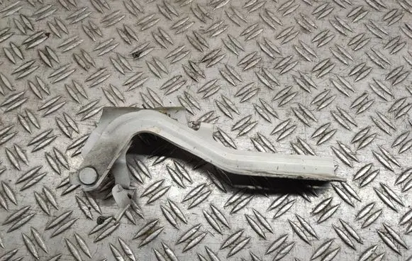 Nissan Juke I F15 Engine bonnet/hood hinges 