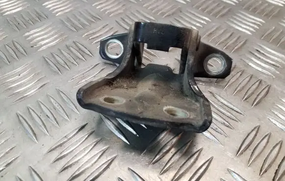 Hyundai Santa Fe Rear door lower hinge