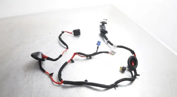 Hyundai Ioniq Rear door wiring loom 91650-G2271