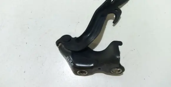 Lexus RX 300 Engine bonnet/hood hinges
