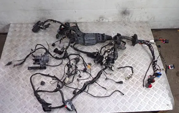 Skoda Octavia Mk4 Wiring harness 2311248798 2311248798M TAB019561