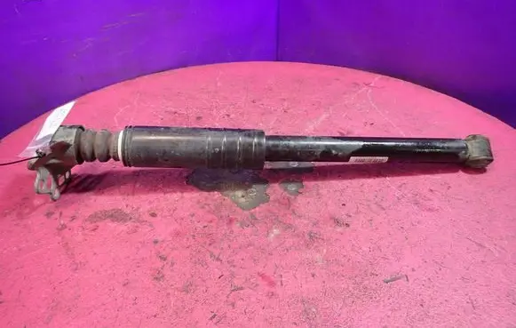 Fiat Punto (199) Rear shock absorber/damper 00519431970