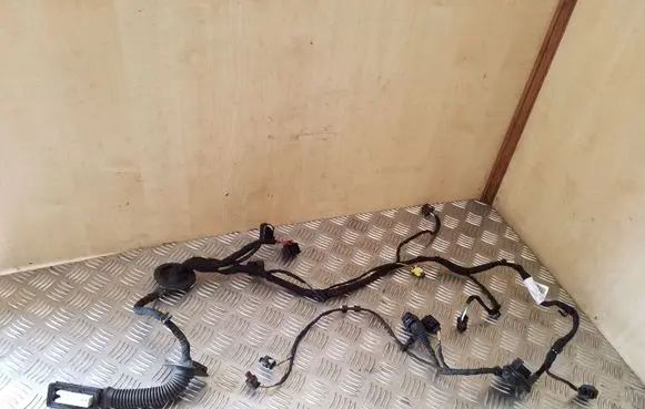Front door wiring loom