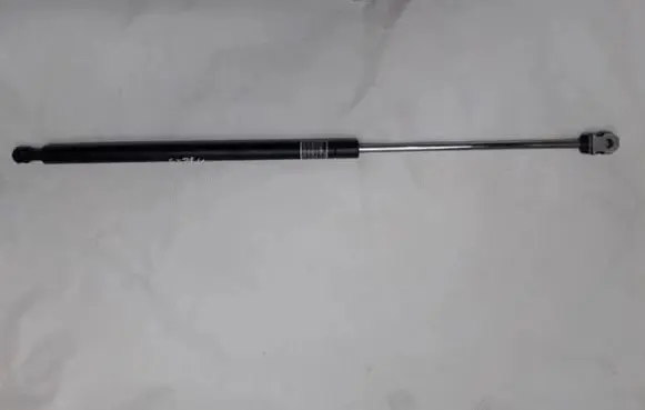 Tailgate/trunk strut/damper