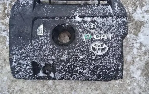 Toyota RAV 4 (XA30) Engine cover (trim)