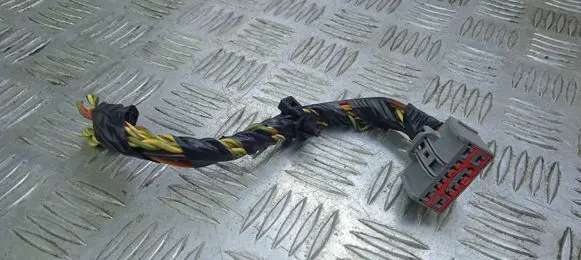 Volvo C70 Other wiring loom