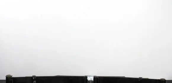 Ford F150 Rear leaf spring FL345560AH