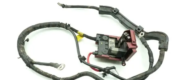 Other wiring loom