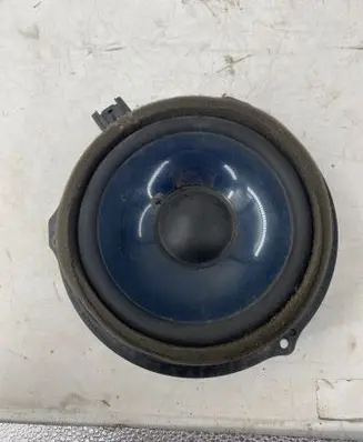 Rear door speaker