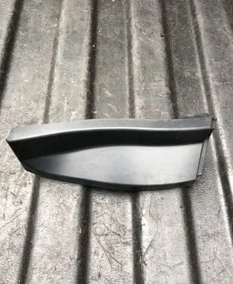 Rear/tail light trim molding