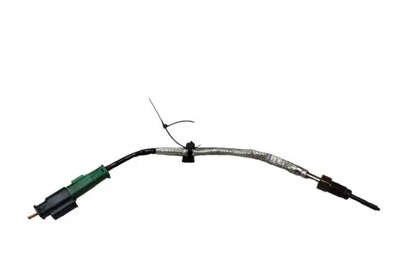 Exhaust gas temperature sensor