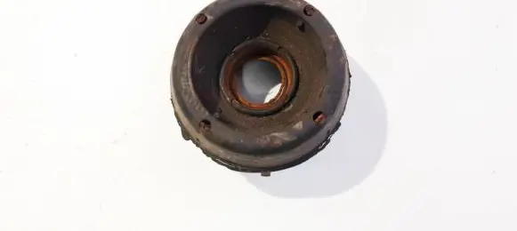 Coil spring mount