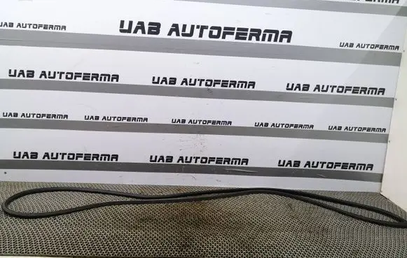 Volkswagen Tiguan Rubber seal front door (on door) 5NA837701A