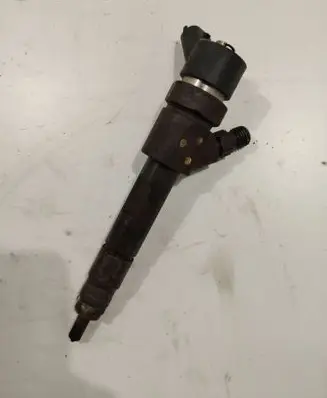Renault Laguna II Fuel injector 0445110110B