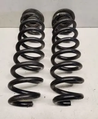 Rear coil spring