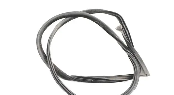 BMW 6 F12 F13 Rubber seal front door (on door) 